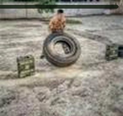 赵娜